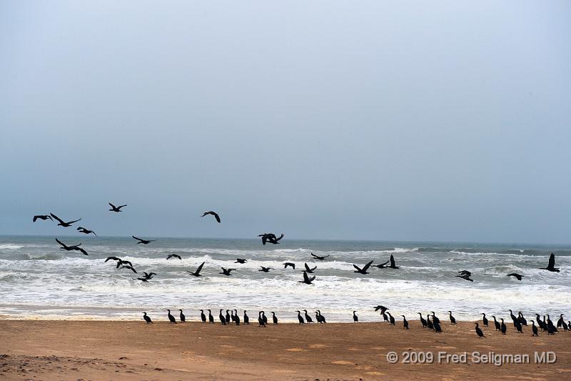 20090605_154916 D3 X1.jpg - Atlantic Coast